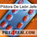 Píldora De León Jefe 06